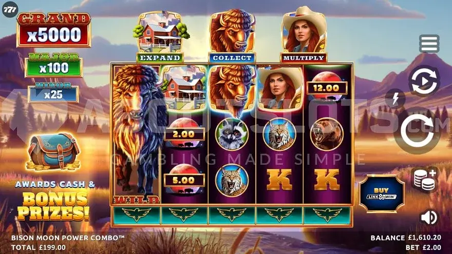 Bison Casino screenshot